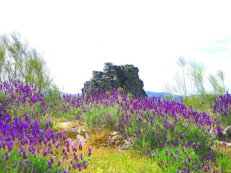 Imagen ATALAYA DE PEÑAFLOR